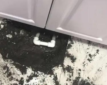 胶州查漏水哪家好